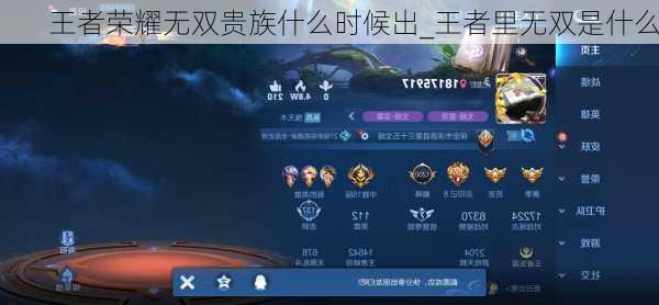 王者荣耀无双贵族什么时候出_王者里无双是什么