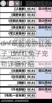 dnf最新宠物红兔子_dnf红兔子宠物详细介绍