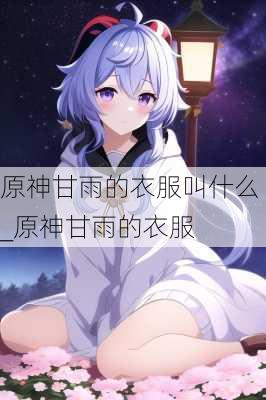 原神甘雨的衣服叫什么_原神甘雨的衣服