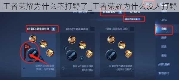 王者荣耀为什么不打野了_王者荣耀为什么没人打野