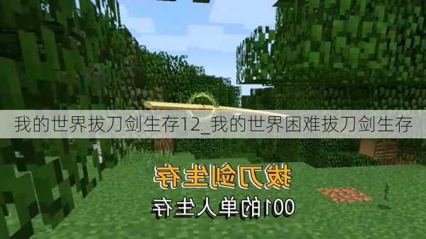 我的世界拔刀剑生存12_我的世界困难拔刀剑生存