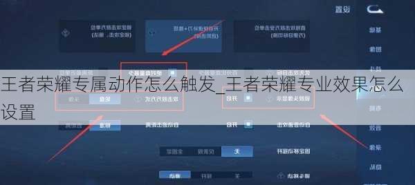 王者荣耀专属动作怎么触发_王者荣耀专业效果怎么设置