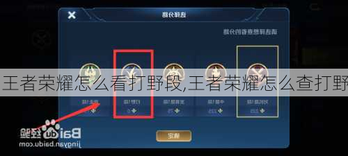 王者荣耀怎么看打野段,王者荣耀怎么查打野