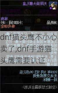 dnf猫头鹰不小心卖了,dnf手游猫头鹰需要认证