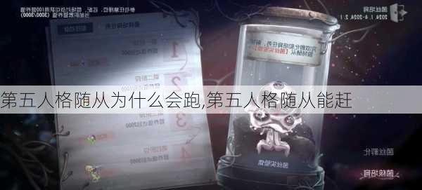 第五人格随从为什么会跑,第五人格随从能赶