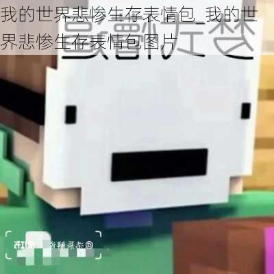 我的世界悲惨生存表情包_我的世界悲惨生存表情包图片