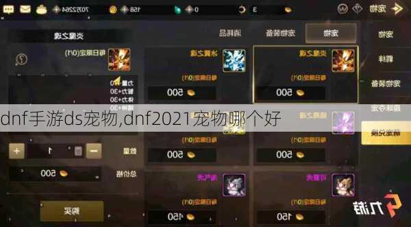 dnf手游ds宠物,dnf2021宠物哪个好