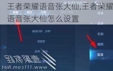 王者荣耀语音张大仙,王者荣耀语音张大仙怎么设置