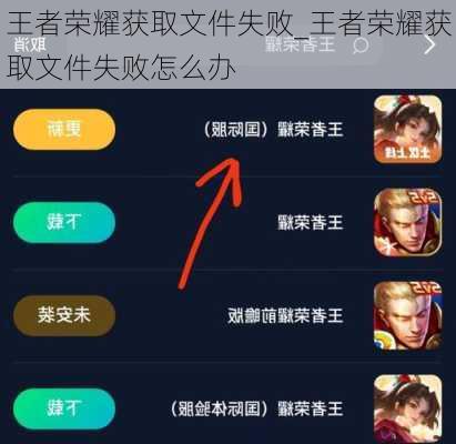 王者荣耀获取文件失败_王者荣耀获取文件失败怎么办