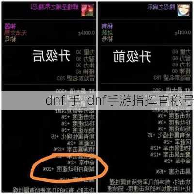 dnf 手_dnf手游指挥官称号
