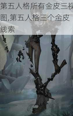 第五人格所有金皮三视图,第五人格三个金皮线索