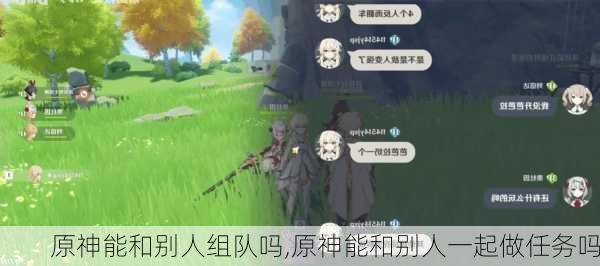 原神能和别人组队吗,原神能和别人一起做任务吗