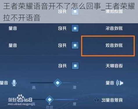 王者荣耀语音开不了怎么回事_王者荣耀拉不开语音