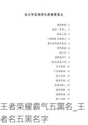 王者荣耀霸气五黑名_王者名五黑名字