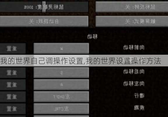 我的世界自己调操作设置,我的世界设置操作方法