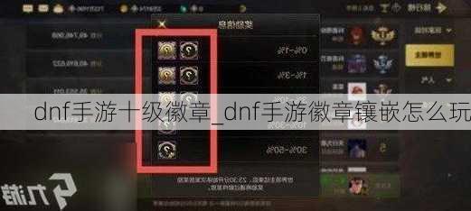 dnf手游十级徽章_dnf手游徽章镶嵌怎么玩