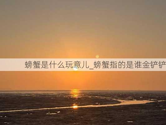 螃蟹是什么玩意儿_螃蟹指的是谁金铲铲