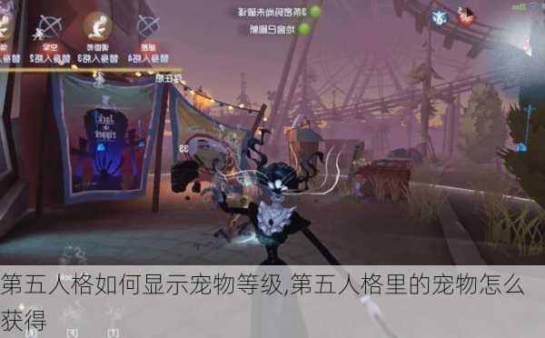 第五人格如何显示宠物等级,第五人格里的宠物怎么获得