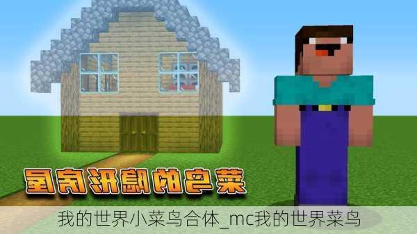 我的世界小菜鸟合体_mc我的世界菜鸟