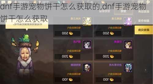 dnf手游宠物饼干怎么获取的,dnf手游宠物饼干怎么获取