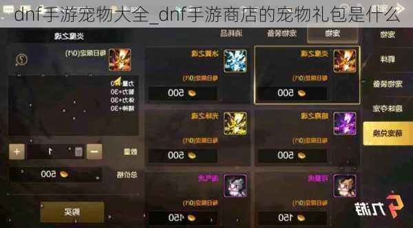 dnf手游宠物大全_dnf手游商店的宠物礼包是什么