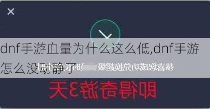 dnf手游血量为什么这么低,dnf手游怎么没动静了