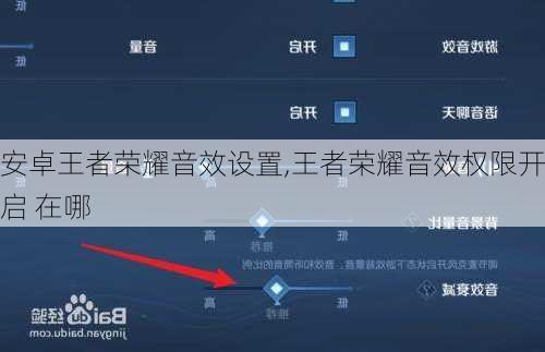 安卓王者荣耀音效设置,王者荣耀音效权限开启 在哪