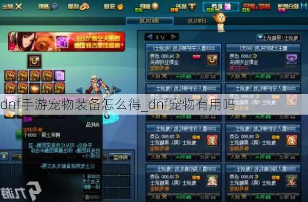 dnf手游宠物装备怎么得_dnf宠物有用吗