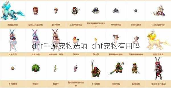 dnf手游宠物选项_dnf宠物有用吗