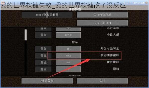 我的世界按键失效_我的世界按键改了没反应