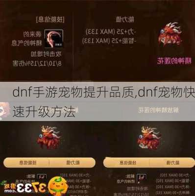 dnf手游宠物提升品质,dnf宠物快速升级方法