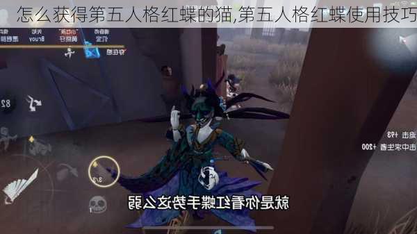 怎么获得第五人格红蝶的猫,第五人格红蝶使用技巧