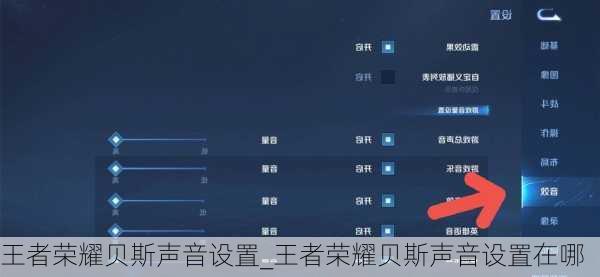 王者荣耀贝斯声音设置_王者荣耀贝斯声音设置在哪