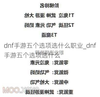 dnf手游五个选项选什么职业_dnf手游五个选项选什么