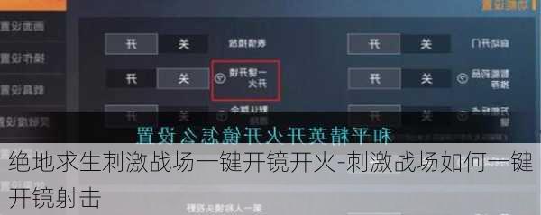 绝地求生刺激战场一键开镜开火-刺激战场如何一键开镜射击