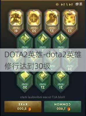 DOTA2英雄-dota2英雄修行达到30级