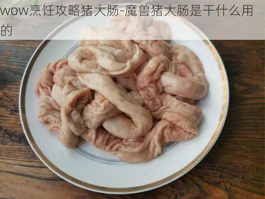 wow烹饪攻略猪大肠-魔兽猪大肠是干什么用的