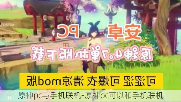 原神pc与手机联机-原神pc可以和手机联机