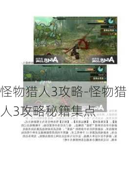 怪物猎人3攻略-怪物猎人3攻略秘籍集点