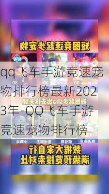 qq飞车手游竞速宠物排行榜最新2023年-QQ飞车手游竞速宠物排行榜