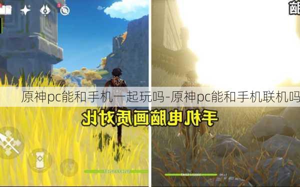 原神pc能和手机一起玩吗-原神pc能和手机联机吗