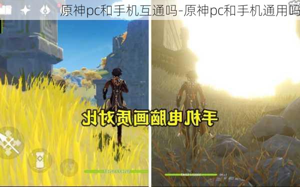 原神pc和手机互通吗-原神pc和手机通用吗