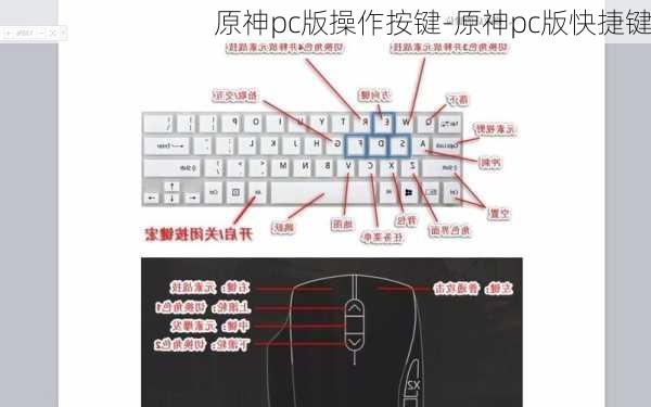 原神pc版操作按键-原神pc版快捷键