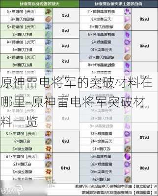 原神雷电将军的突破材料在哪里-原神雷电将军突破材料一览