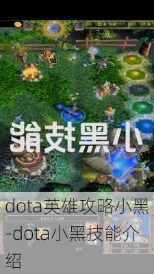 dota英雄攻略小黑-dota小黑技能介绍