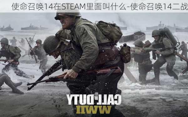 使命召唤14在STEAM里面叫什么-使命召唤14二战