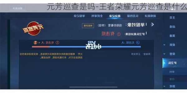 元芳巡查是吗-王者荣耀元芳巡查是什么