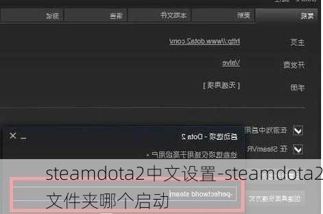 steamdota2中文设置-steamdota2文件夹哪个启动