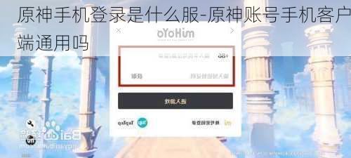 原神手机登录是什么服-原神账号手机客户端通用吗