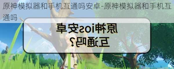 原神模拟器和手机互通吗安卓-原神模拟器和手机互通吗